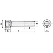 Immagine di VITI A TESTA CILINDRICA CAVA ESAGONALE INOX filettatura a passo grosso